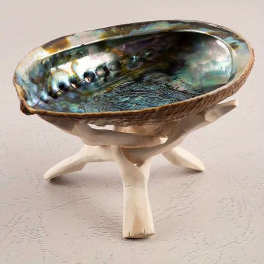 Schelp voor wierook, kruiden en /of salie reiniging