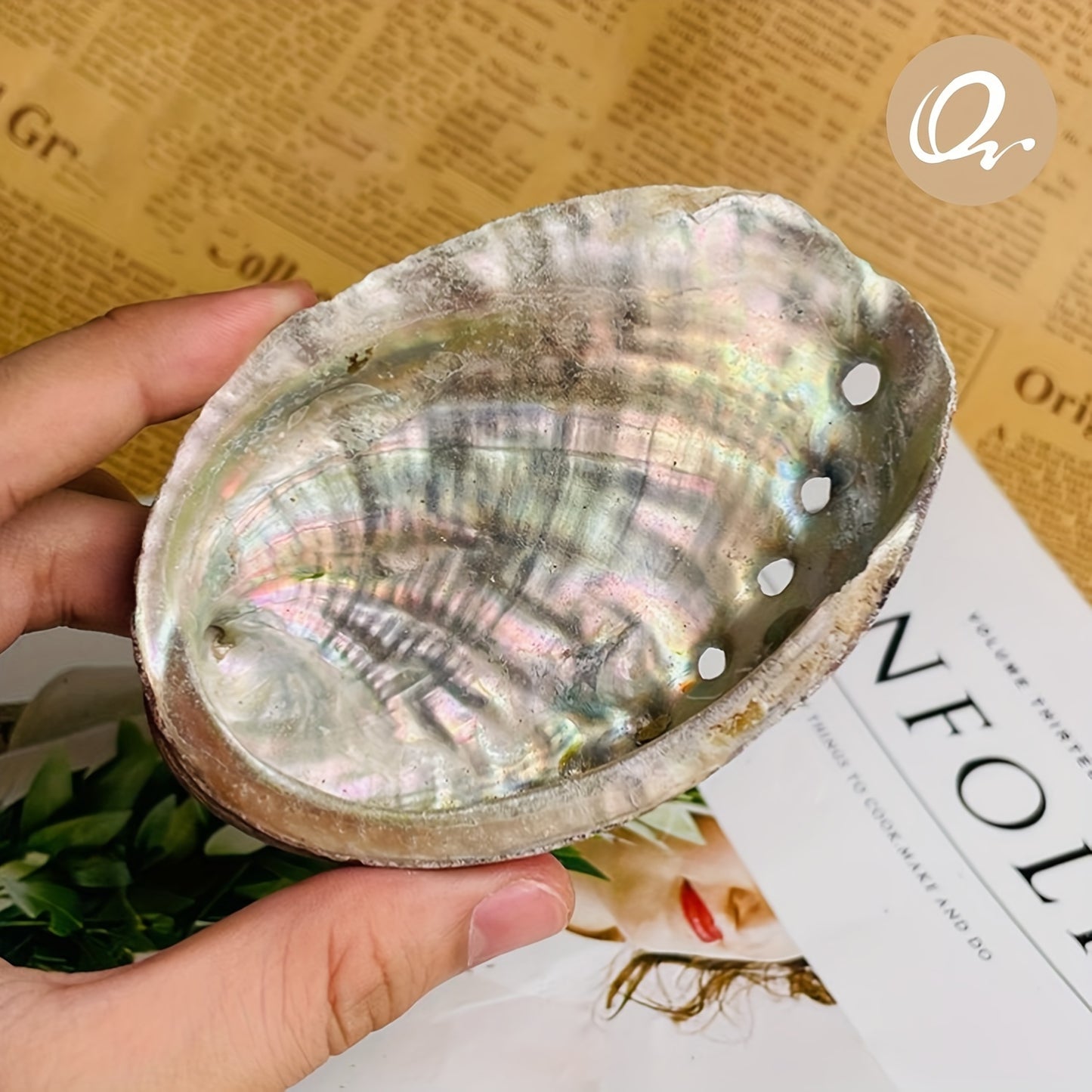 Schelpen voor het branden van kruiden, wierook of salie