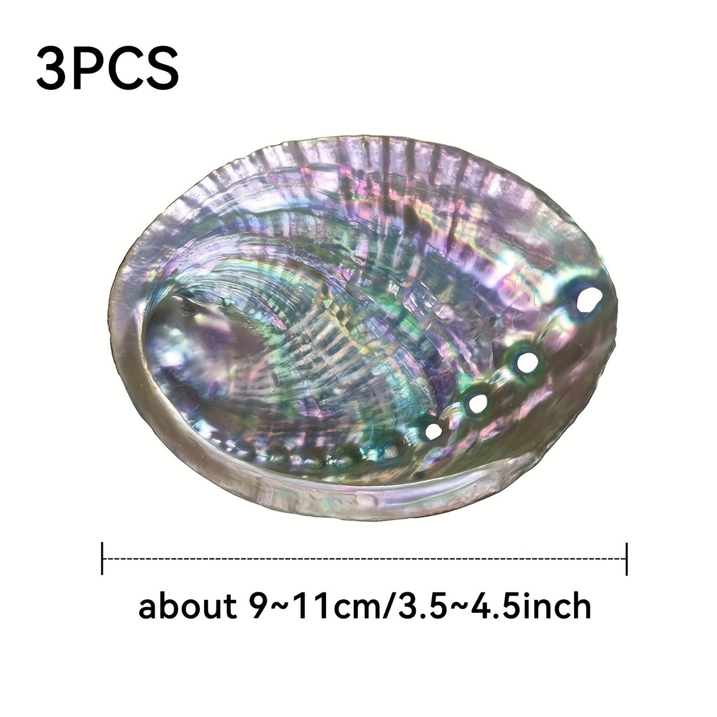 Schelpen voor het branden van kruiden, wierook of salie